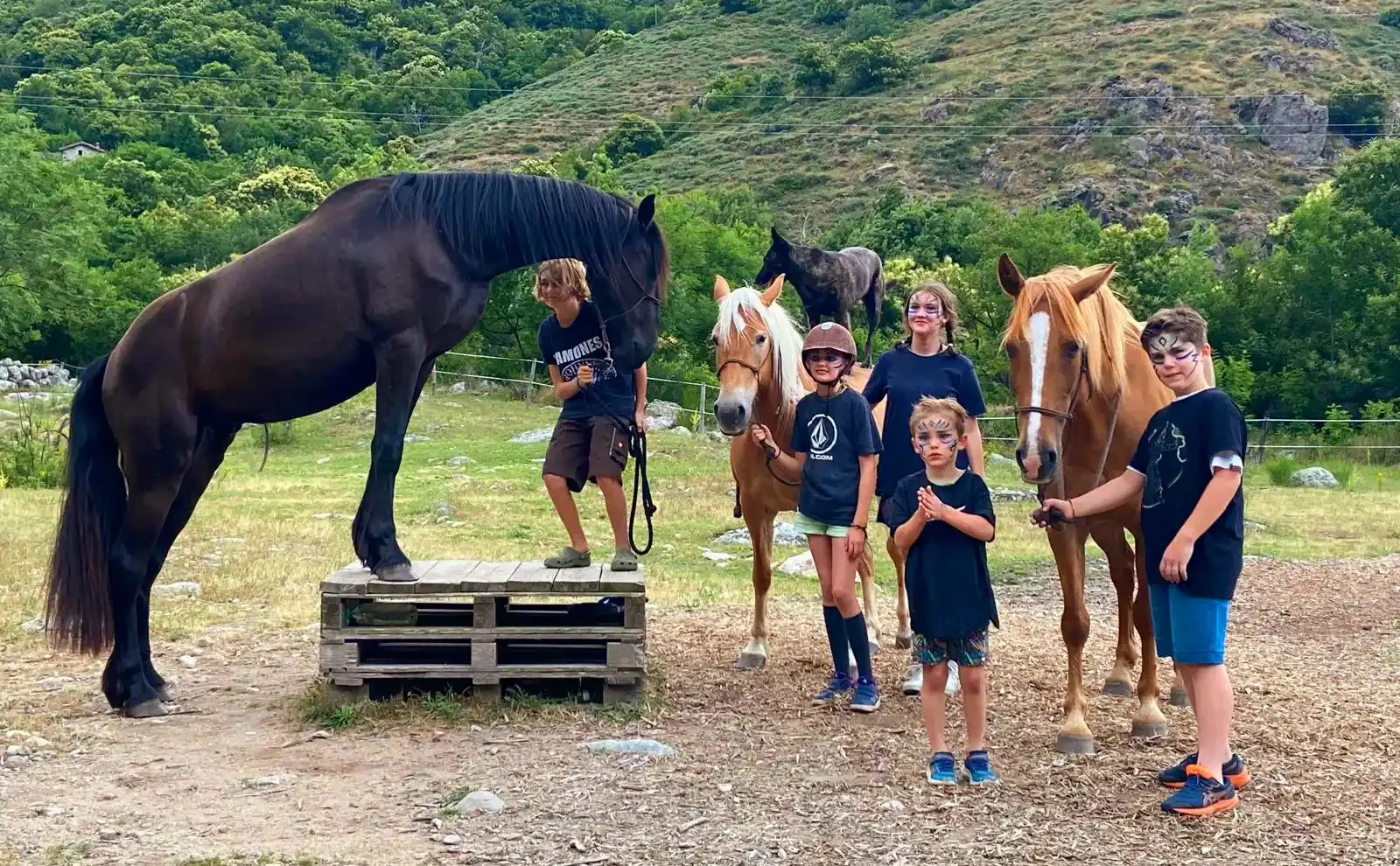 spectacle equestre